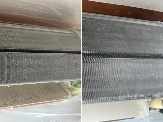 【プロが丁寧にクリーニング】エアコン内部まで徹底洗浄サービスの画像