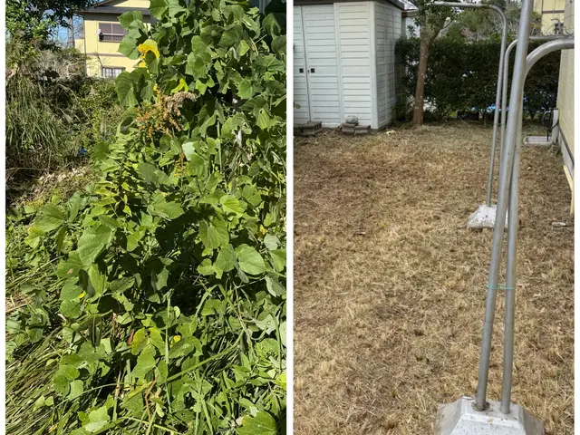 インボイス対応　法人　個人どちらにも対応可能　三重県限定ため地域最安値です。サービスの画像