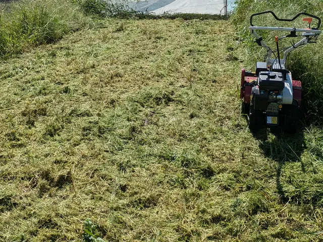 インボイス対応　法人　個人どちらにも対応可能　三重県限定ため地域最安値です。サービスの画像