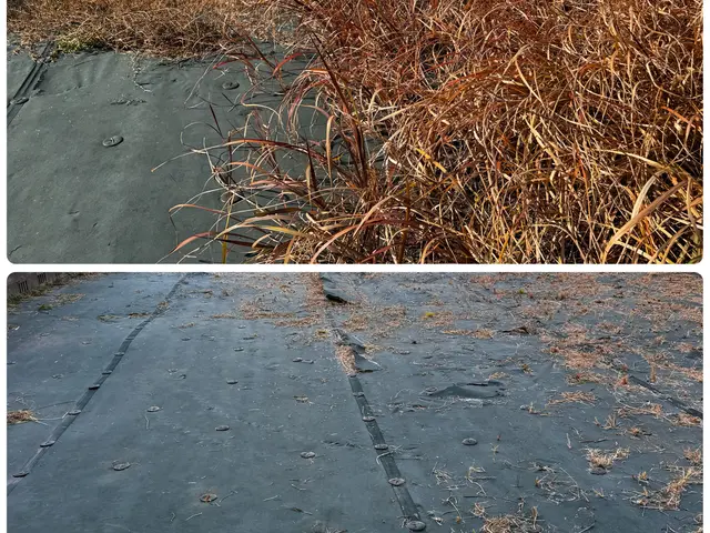 インボイス対応　法人　個人どちらにも対応可能　三重県限定ため地域最安値です。サービスの画像