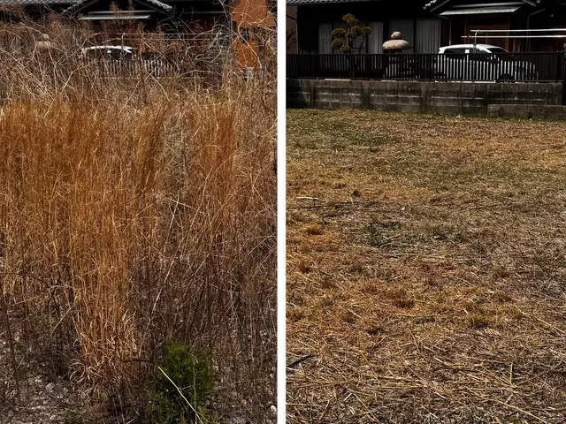 インボイス対応　法人　個人どちらにも対応可能　三重県限定ため地域最安値です。サービスの画像