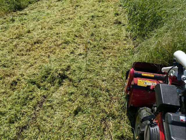 インボイス対応　法人　個人どちらにも対応可能　三重県限定ため地域最安値です。サービスの画像