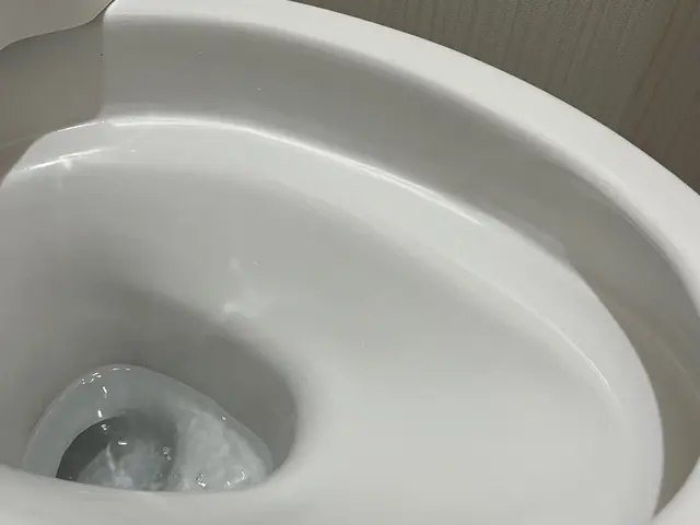 水垢、尿石等きれいに仕上げます！サービスの画像