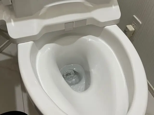 水垢、尿石等きれいに仕上げます！サービスの画像