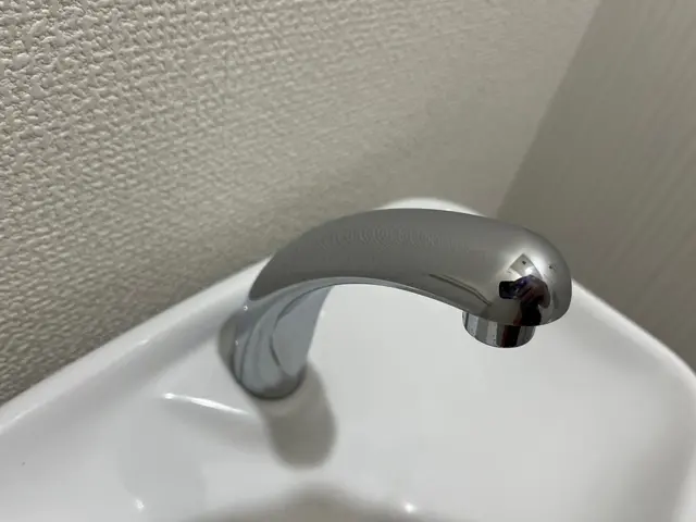 水垢、尿石等きれいに仕上げます！サービスの画像