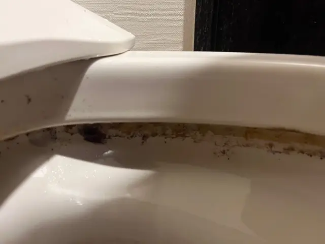 水垢、尿石等きれいに仕上げます！サービスの画像