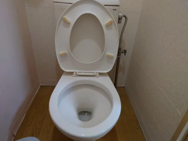 トイレの汚れはお任せください！経験と知識を活かして迅速丁寧に作業いたします！サービスの画像
