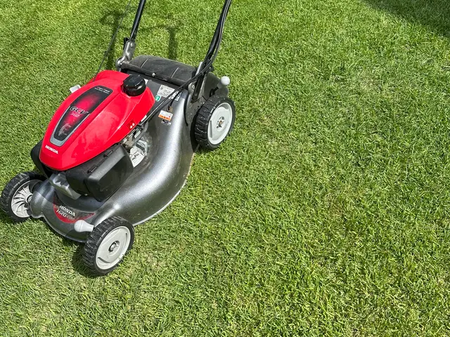 【1級造園施工管理技士】充電式草刈機導入◆芝刈り対応サービスの画像