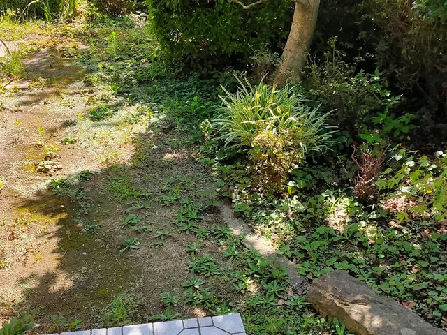 ＜佐賀県 杵島郡発◎地域密着＞プロに任せてスッキリ快適◇ご要望にお応えします！サービスの画像