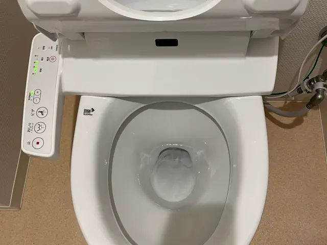 トイレクリーニングサービスの画像