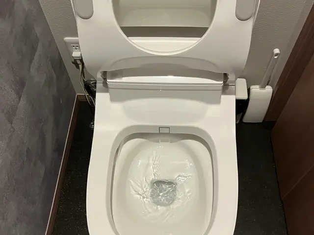 トイレクリーニングサービスの画像