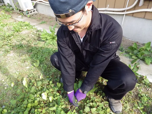 寒さ暑さもなんのその！伸びた雑草お任せください！サービスの画像