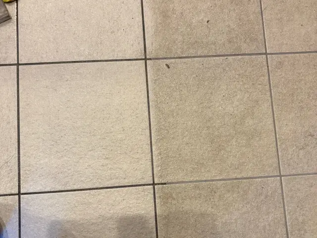 ★丁寧なサービス☆一度、スッキリ綺麗にしませんか？コンクリート床不可☆ワックス込サービスの画像