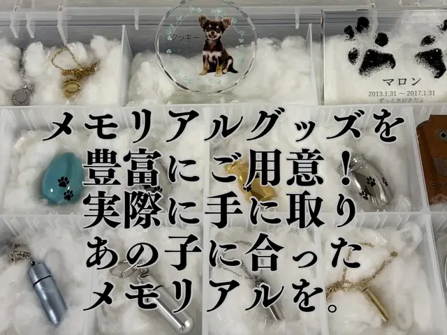 ⁂動物保護団体が行う訪問ペット火葬⁂ご家族と同じ想いで、丁寧にお見送りします。サービスの画像