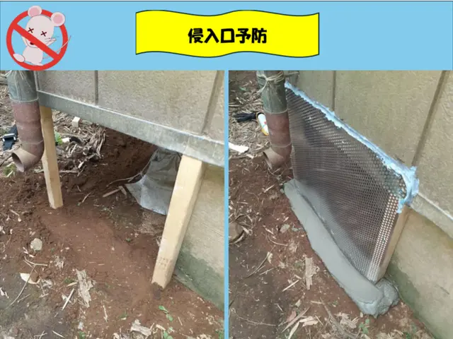 【現地調査☆無料】害獣駆除のプロにお任せ下さい！防除作業監督者が行う再侵入予防！サービスの画像