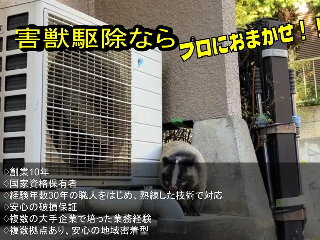 【安心の地元業者】アライグマ、ハクビシン駆除、再侵入予防のプロフェッショナル！！サービスの画像