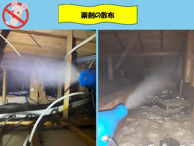 【現地調査☆無料】害獣駆除のプロにお任せ下さい！防除作業監督者が行う再侵入予防！サービスの画像