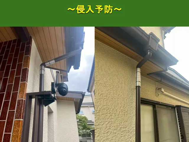 【安心の地元業者】アライグマ、ハクビシン駆除、再侵入予防のプロフェッショナル！！サービスの画像