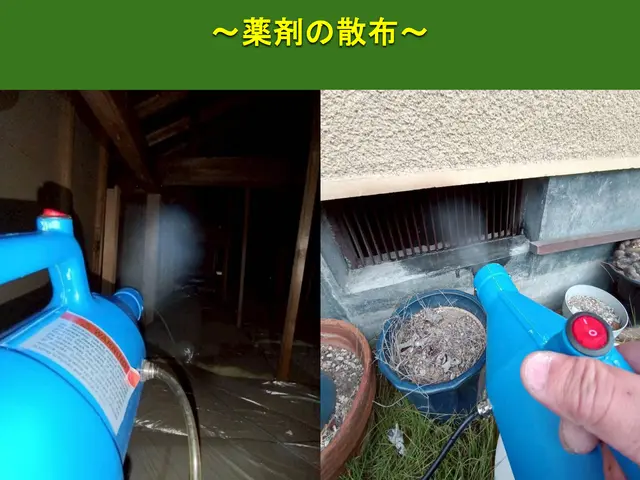 【安心の地元業者】アライグマ、ハクビシン駆除、再侵入予防のプロフェッショナル！！サービスの画像