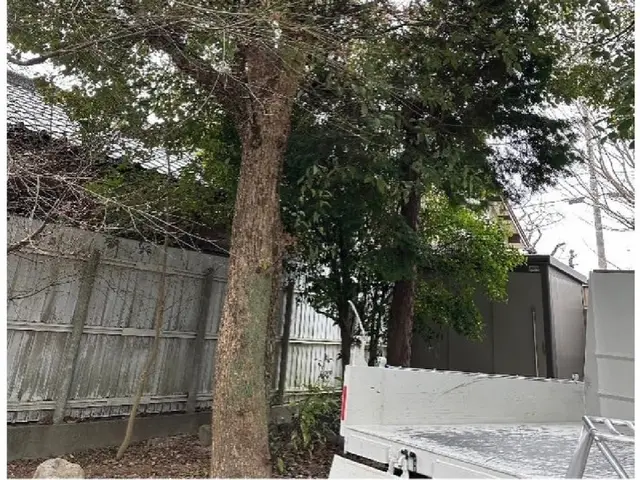 【プロが伺います】手に負えなくなった樹木の伐採はお任せ下さい！サービスの画像