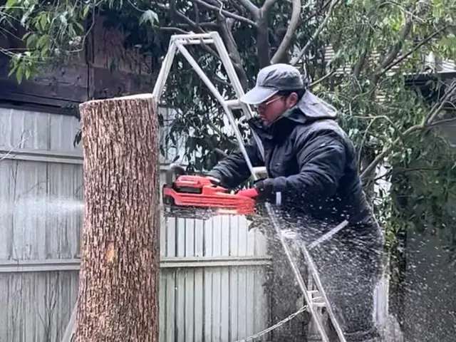 【プロが伺います】手に負えなくなった樹木の伐採はお任せ下さい！サービスの画像
