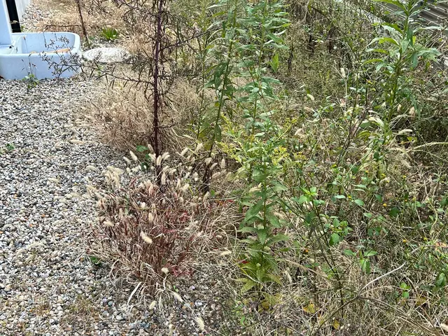 仕上がり重視で丁寧に作業いたします！サービスの画像