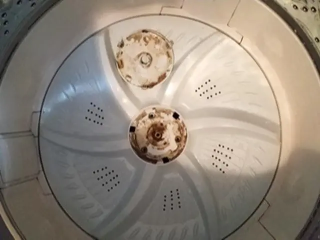 クレカOK！名古屋の便利屋ソクリです。縦型洗濯機クリーニングお任せ下さい！サービスの画像