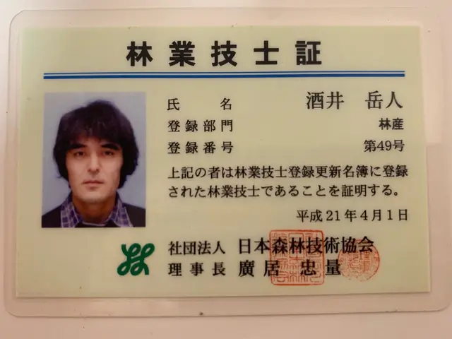 伸びきってしまった中高木の庭木も私にお任せください！最安値にてご提供致します！サービスの画像