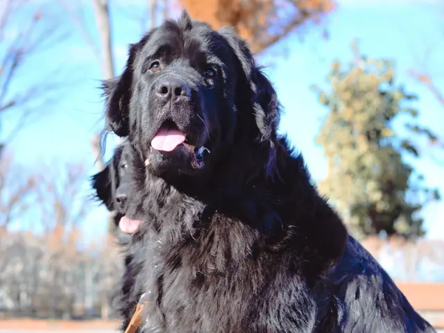 プロの技術でご満足いただけるように心を込めて撮影いたします