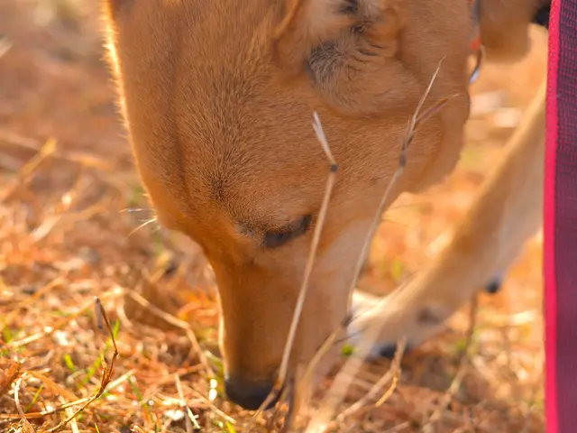 プロの技術でご満足いただけるように心を込めて撮影いたします