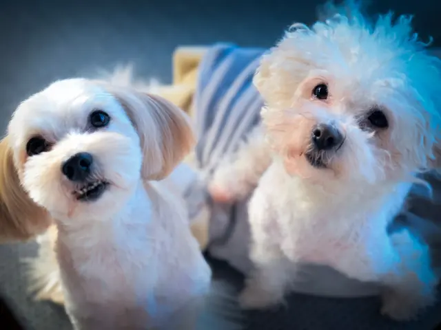 プロの技術でご満足いただけるように心を込めて撮影いたします