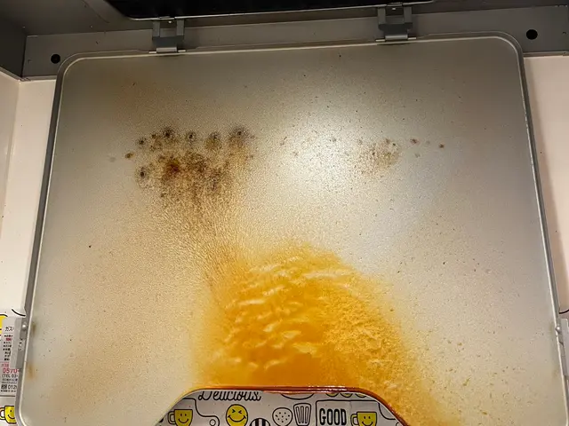 レンジフード　汚れ！油臭!全て解決。女性スタッフ可！適格請求書発！損害保険加入サービスの画像