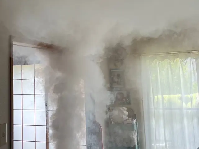 24h/当日可！国家資格保持者による5種類の薬剤とスチームで徹底的に完全駆除！サービスの画像