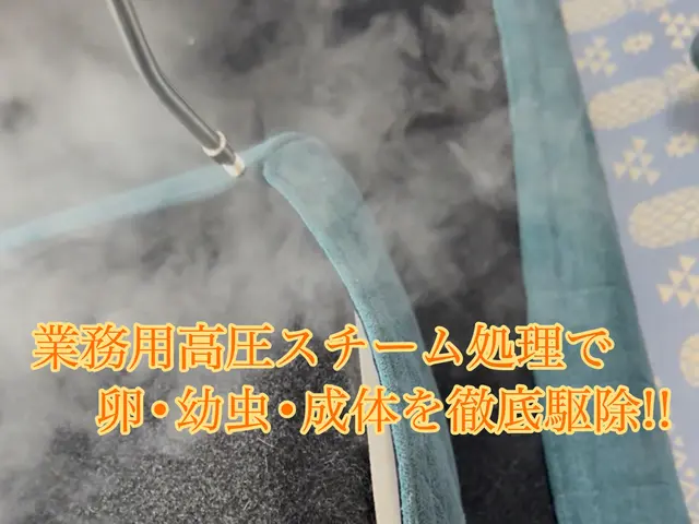 24h/当日可！国家資格保持者による5種類の薬剤とスチームで徹底的に完全駆除！サービスの画像