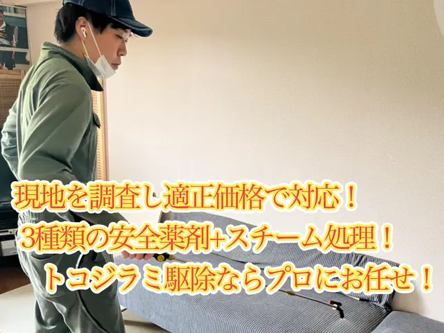 24h/当日可！国家資格保持者による5種類の薬剤とスチームで徹底的に完全駆除！サービスの画像