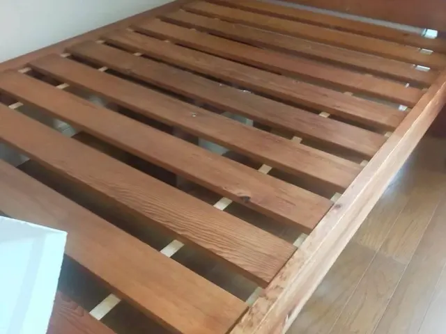 24h/当日可！国家資格保持者による5種類の薬剤とスチームで徹底的に完全駆除！サービスの画像