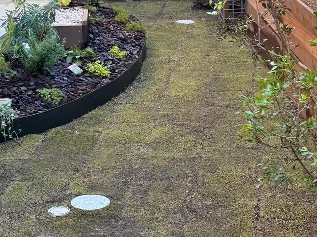 プロの技術でご満足いただけるように心を込めて作業いたしますサービスの画像