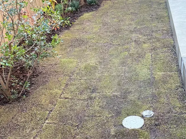 プロの技術でご満足いただけるように心を込めて作業いたしますサービスの画像