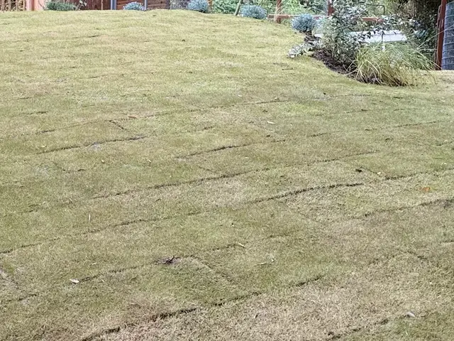 プロの技術でご満足いただけるように心を込めて作業いたしますサービスの画像