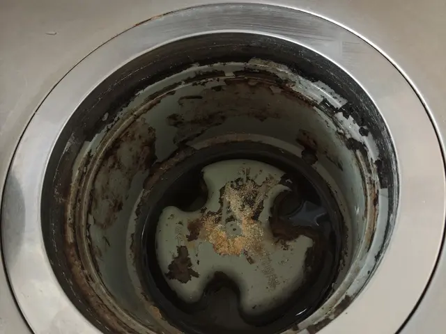 ただいま新年お掃除キャンペーン中です！！是非お得な時にご利用くださいサービスの画像