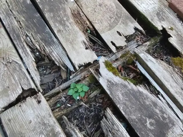 安心価格で信頼できるホームインスペクション報告書を作成させて頂きますサービスの画像