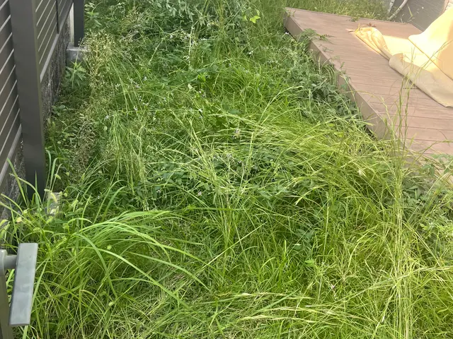 お庭を草刈りでキレイに！経験や知識が豊富です。サービスの画像