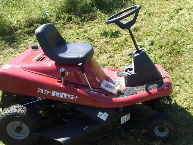 空地、遊休地、通路の草刈りいたします。サービスの画像