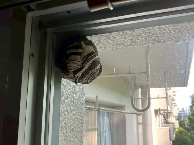 駆除の専門家である駆除王のハチ駆除！相見積歓迎！施工技術・費用に自信あり！サービスの画像