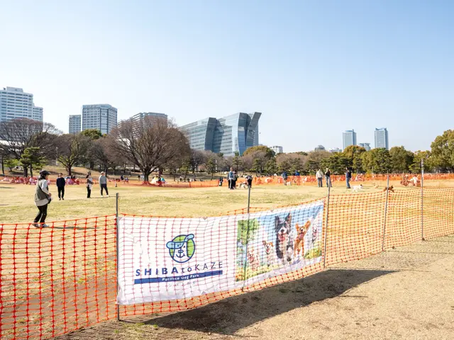 インスタフォロワー2万人！ 特別なイベントを自然体で華やかに撮影します