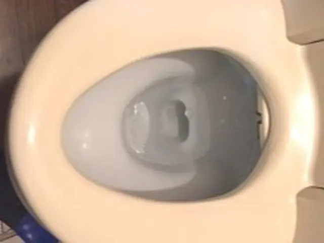 安心のトイレクリーニング！サービスの画像