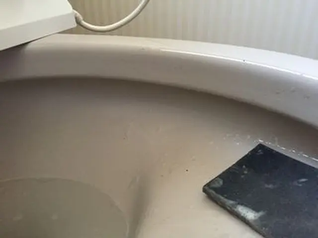 安心のトイレクリーニング！サービスの画像