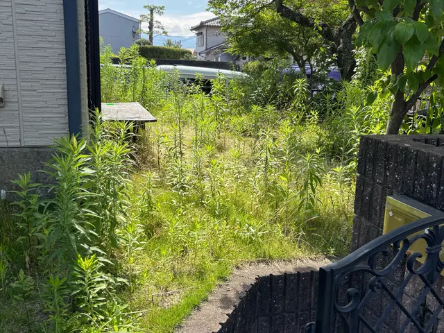 根から取る草むしりサービスの画像