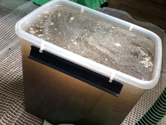 高濃度次亜塩素酸水で徹底除菌！サービスの画像