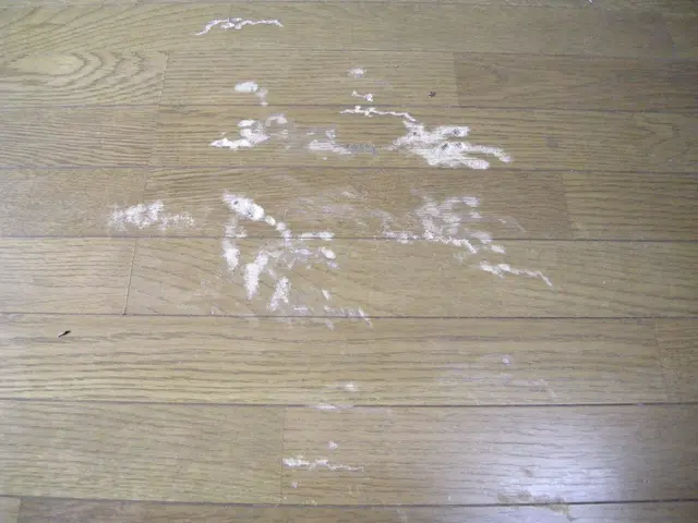 【空きあります】親切丁寧な対応で、床の傷みを解消！お部屋の美観を取り戻しますサービスの画像